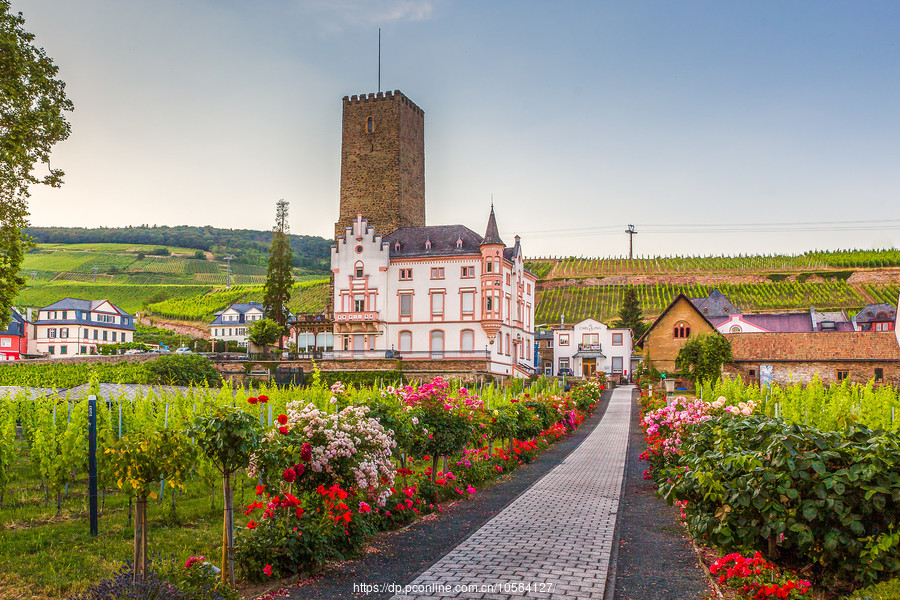 ¹˹ķ(Rudesheim)ϵС