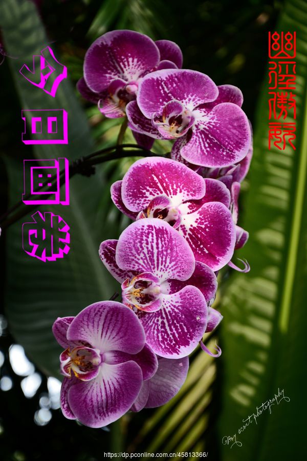 ľ·ͣƴչ(3)ľ·