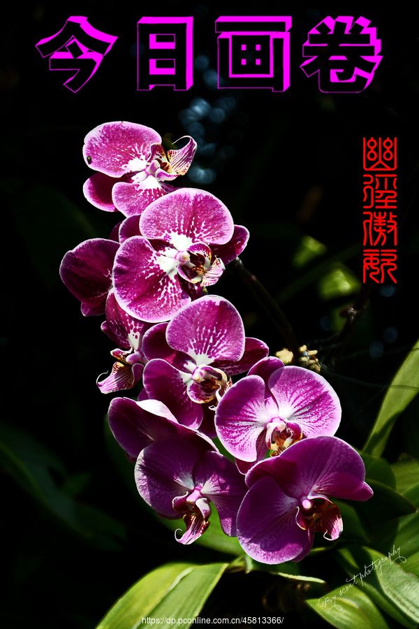 ľ·ͣƴչ(3)ľ·