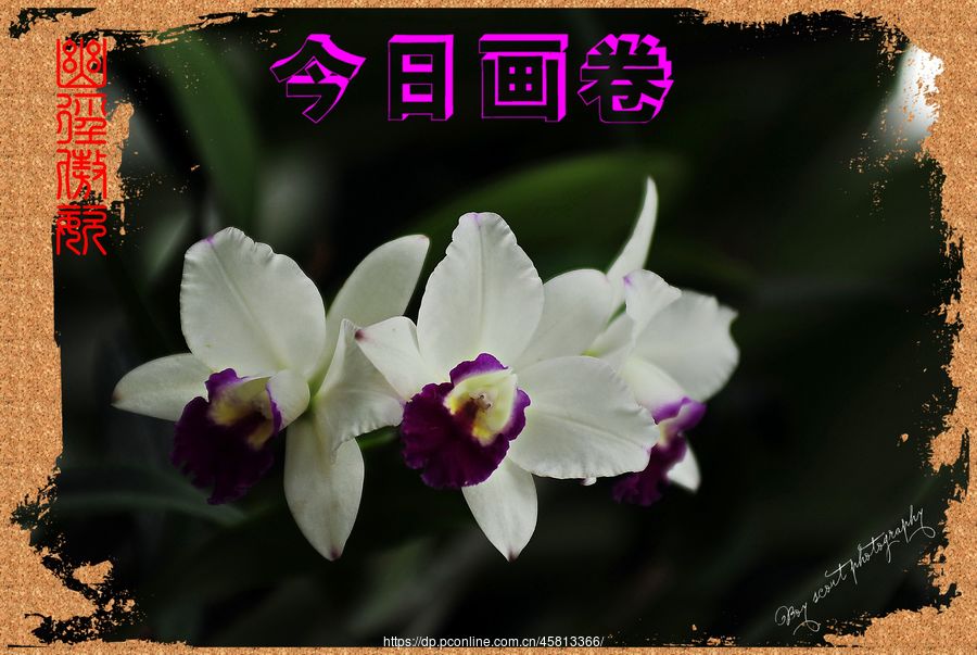 ľ·ͣƴչ(3)ľ·