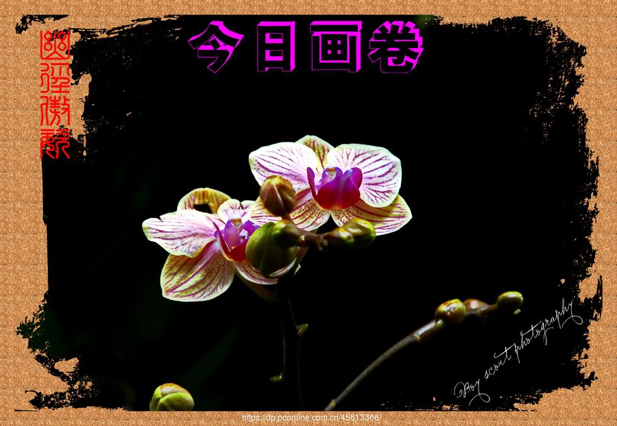 ľ·ͣƴչ(3)ľ·
