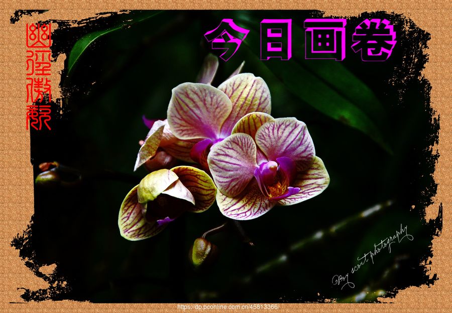 ľ·ͣƴչ(3)ľ·