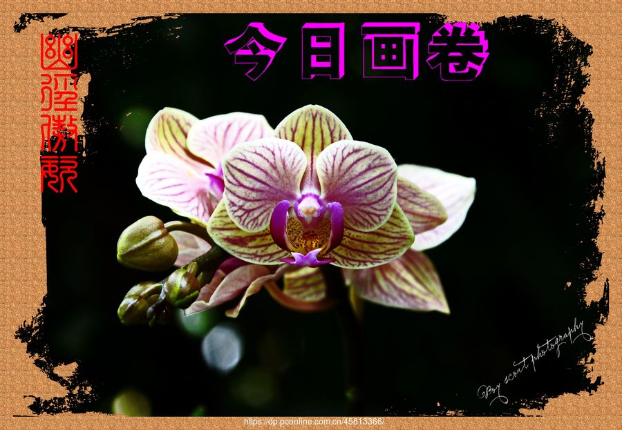 ľ·ͣƴչ(3)ľ·