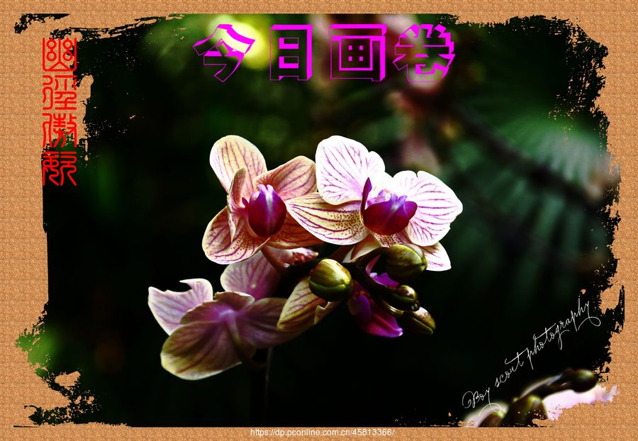 ľ·ͣƴչ(4)ľ·