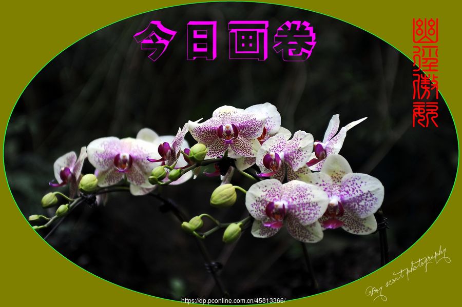 ľ·ͣƴչ(4)ľ·