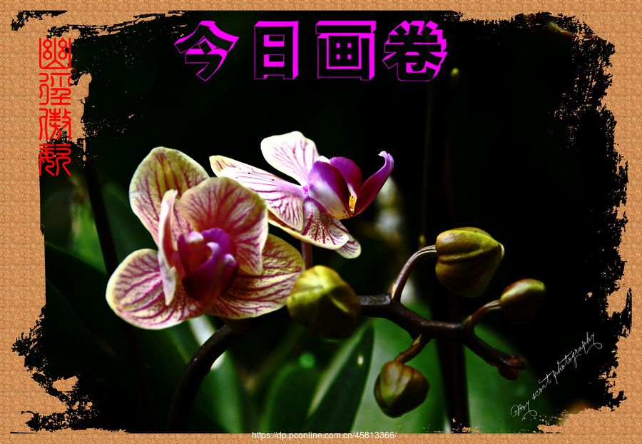 ľ·ͣƴչ(4)ľ·