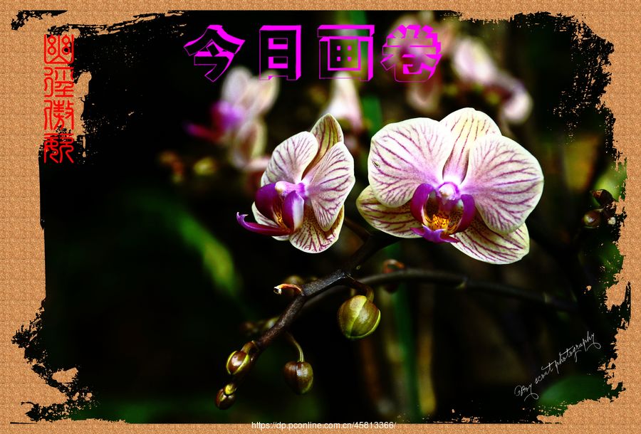ľ·ͣƴչ(4)ľ·