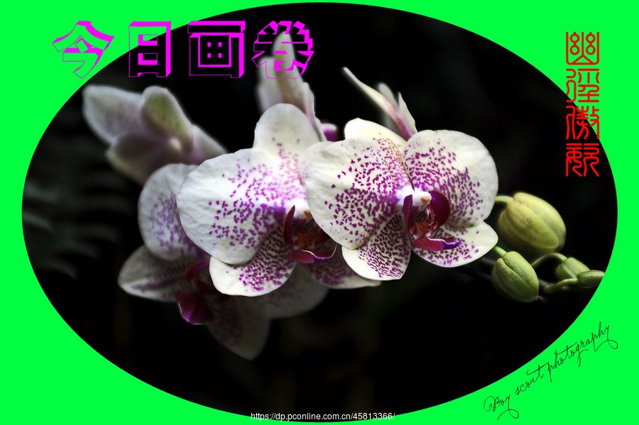 ľ·ͣƴչ(4)ľ·