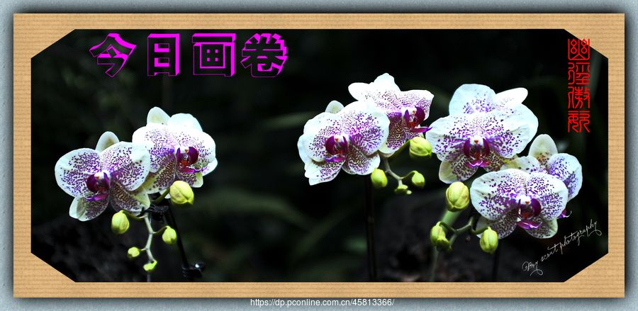 ľ·ͣƴչ(4)ľ·