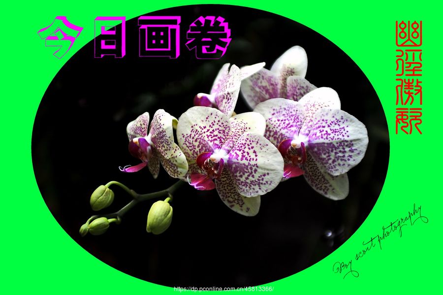 ľ·ͣƴչ(4)ľ·