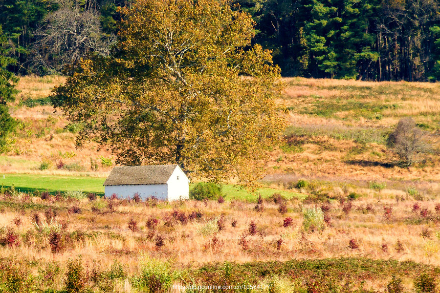 ݵĸ(Valley Forge)Ұӽ