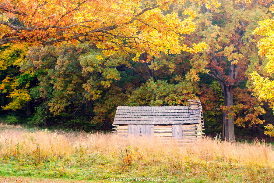 ݵĸ(Valley Forge)Ұӽ