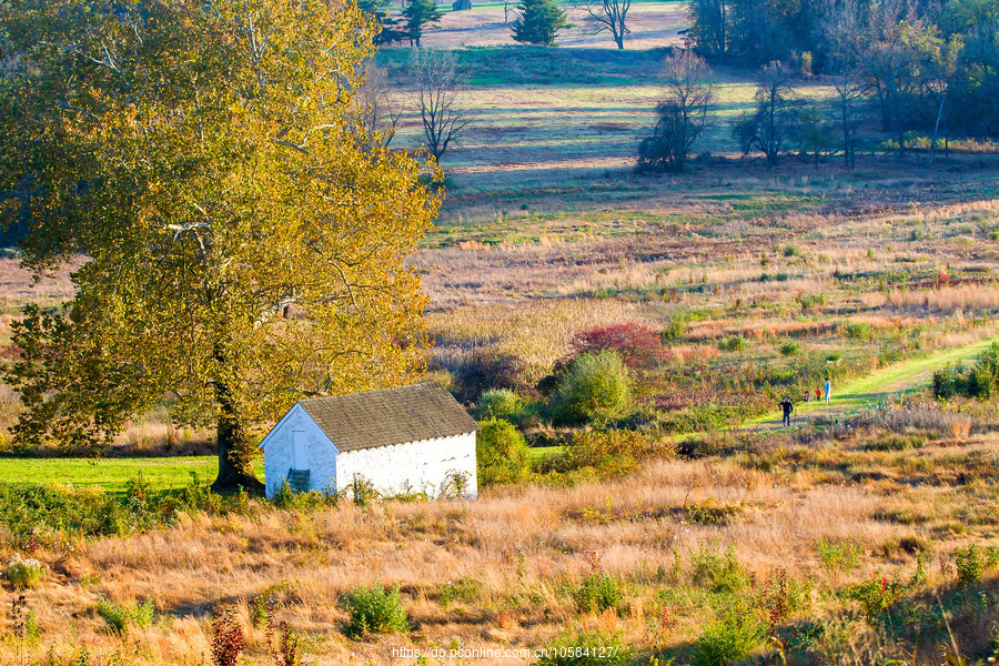 ݵĸ(Valley Forge)Ұӽ