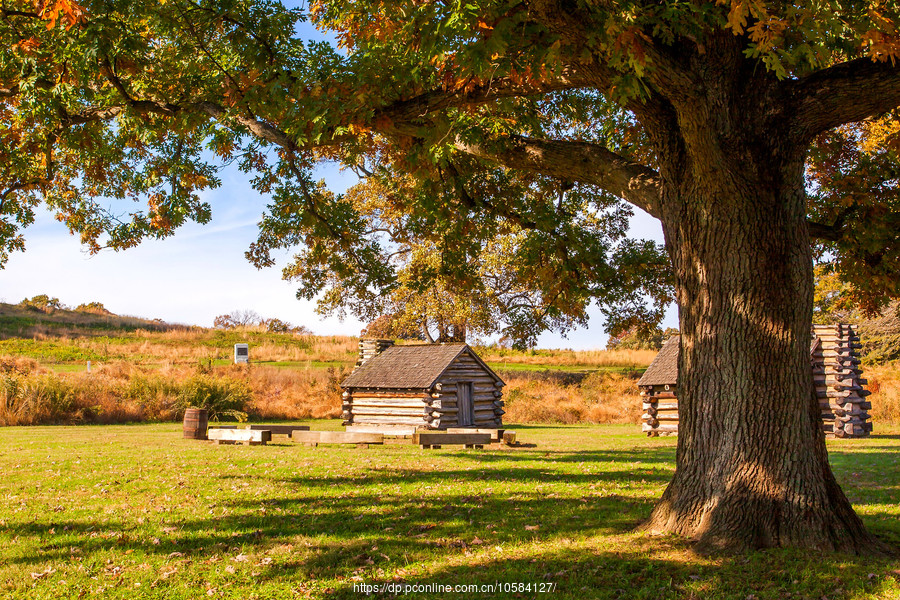 ݵĸ(Valley Forge)Ұӽ