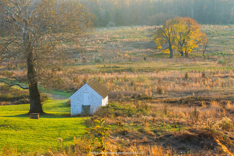 ݵĸ(Valley Forge)Ұӽ