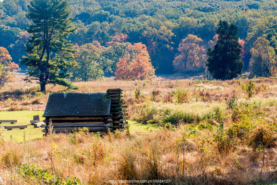 ݵĸ(Valley Forge)Ұӽ