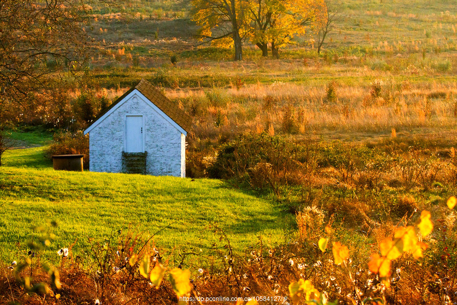 ݵĸ(Valley Forge)Ұӽ