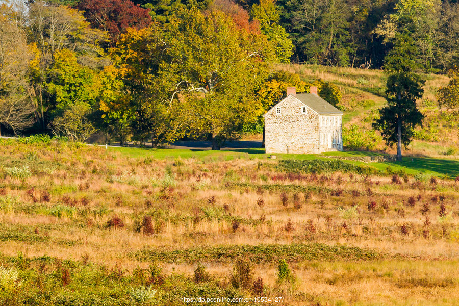 ݵĸ(Valley Forge)Ұӽ