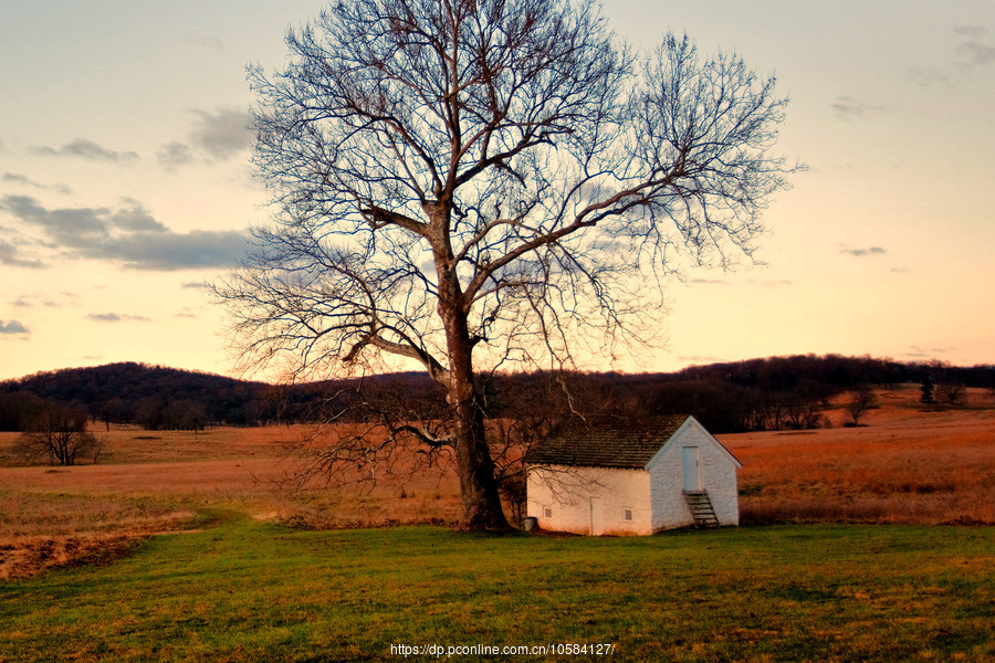 ݵĸ(Valley Forge)Ұӽ