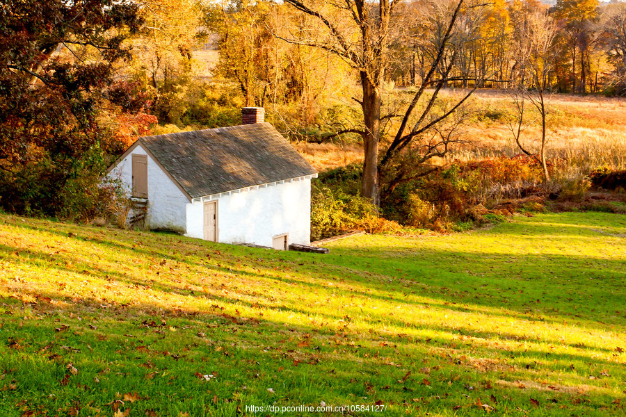 ݵĸ(Valley Forge)Ұӽ