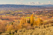 (Assisi), Ǹ߷