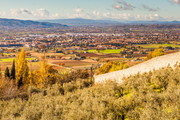 (Assisi), Ǹ߷