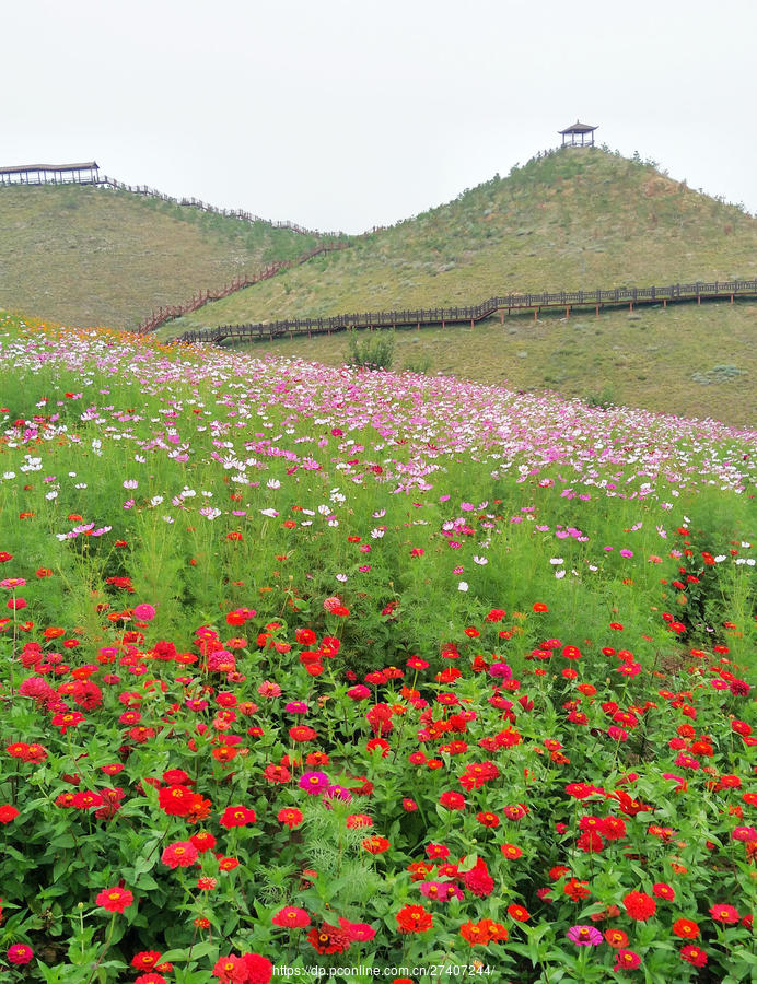 赤峰花海景区图片