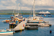 ոвĪ(Tobermory)ߵ˽ͧ