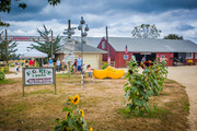 ũ(Holland Ridge Farms, NJ)Ӱȵ