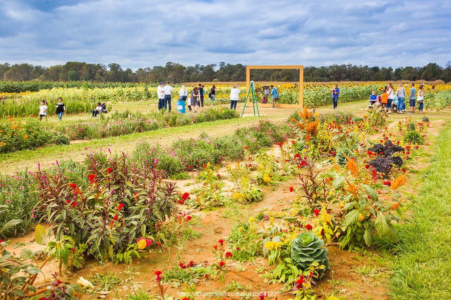 ũ(Holland Ridge Farms, NJ)Ӱȵ