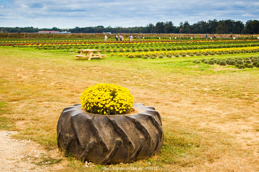 ũ(Holland Ridge Farms, NJ)Ӱȵ