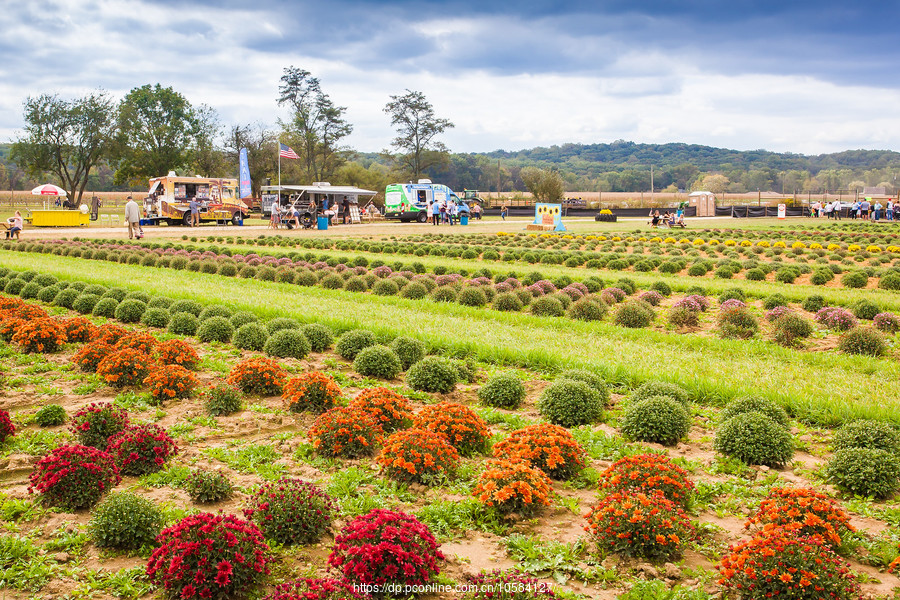 ũ(Holland Ridge Farms, NJ)Ӱȵ