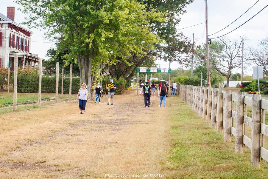 ũ(Holland Ridge Farms, NJ)Ӱȵ