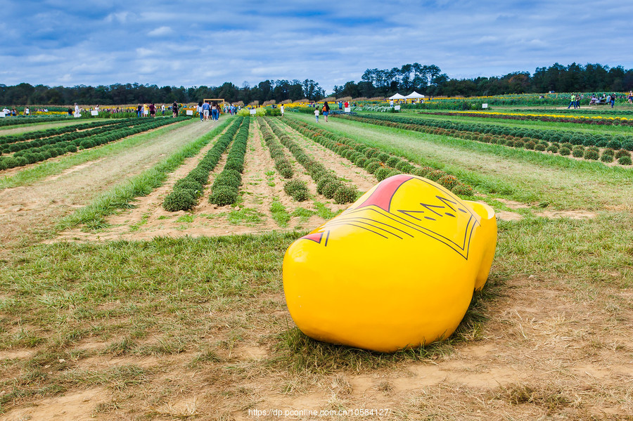 ũ(Holland Ridge Farms, NJ)Ӱȵ