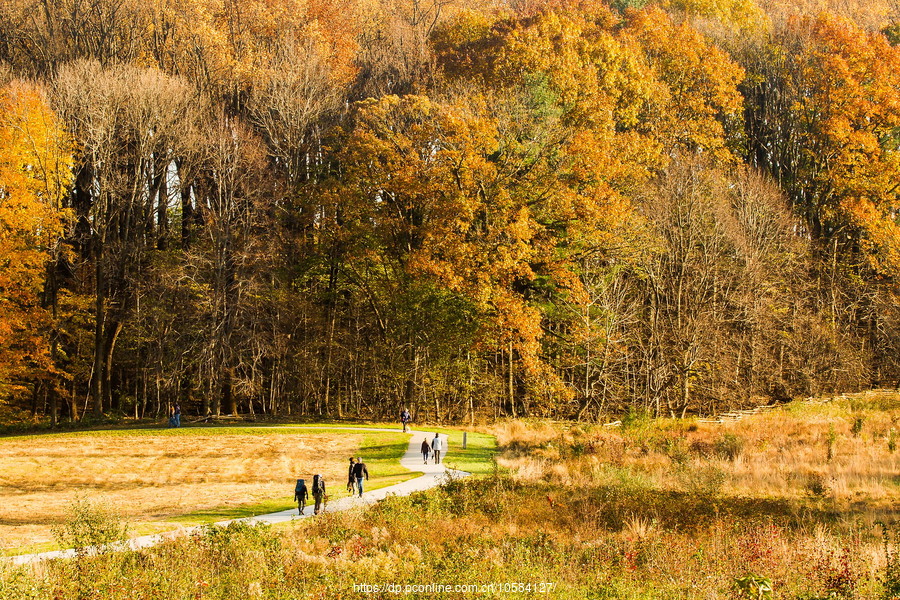 ݵĸ(Valley Forge)֮ɫ