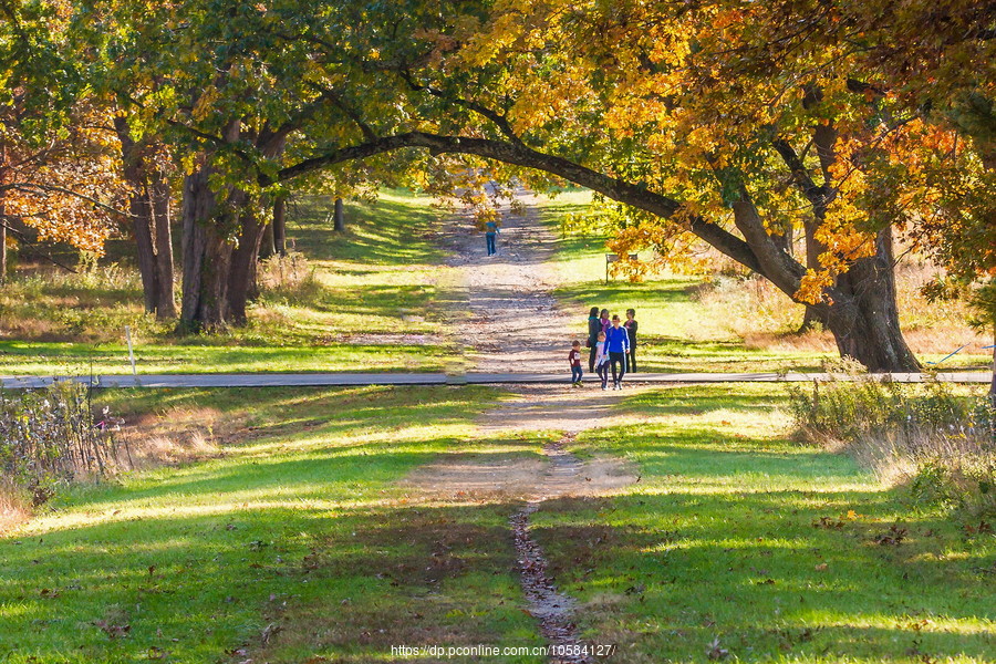 ݵĸ(Valley Forge)֮ɫ