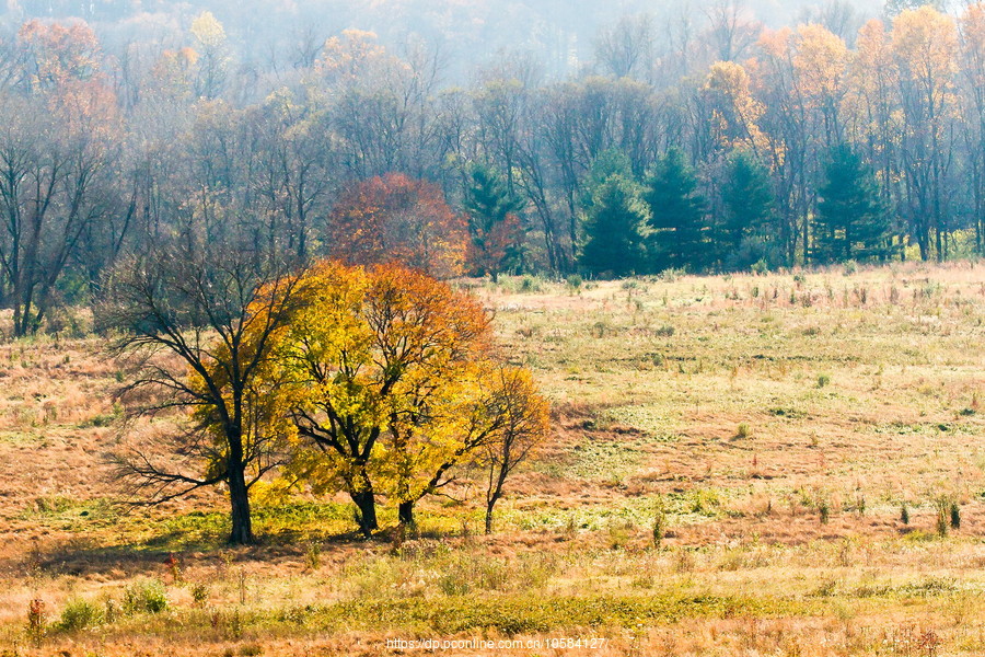 ݵĸ(Valley Forge)֮ɫ