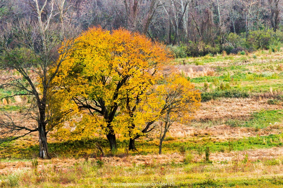 ݵĸ(Valley Forge)֮ɫ