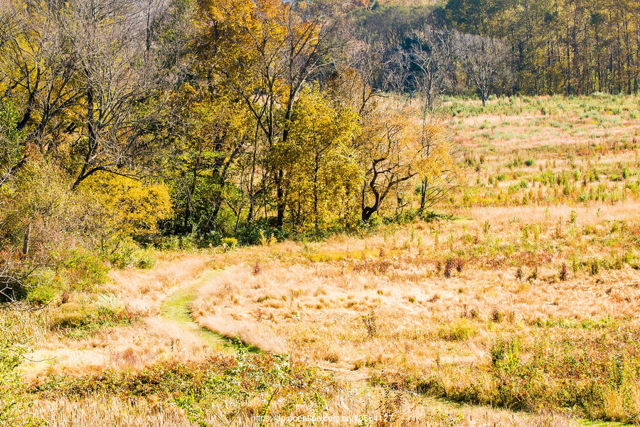 ݵĸ(Valley Forge)֮ɫ