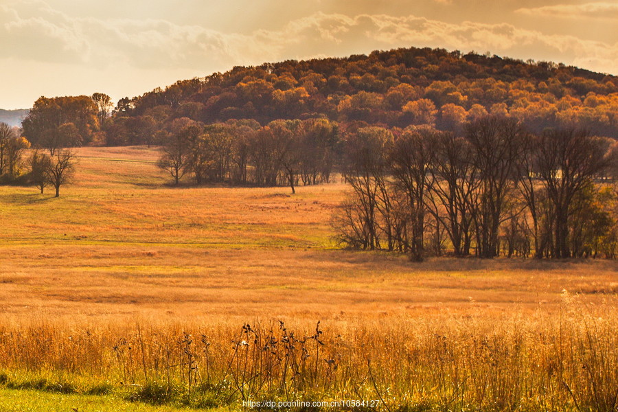 ݵĸ(Valley Forge)֮ɫ