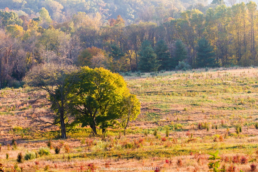 ݵĸ(Valley Forge)֮ɫ