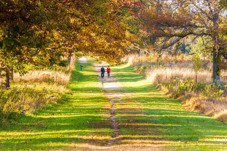 ݵĸ(Valley Forge)֮ɫ