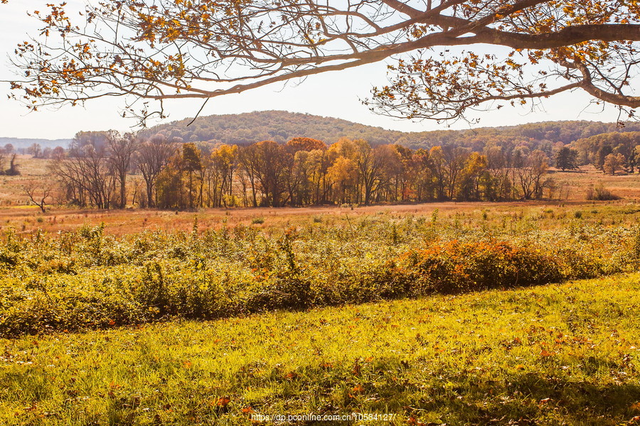 ݵĸ(Valley Forge)֮ɫ