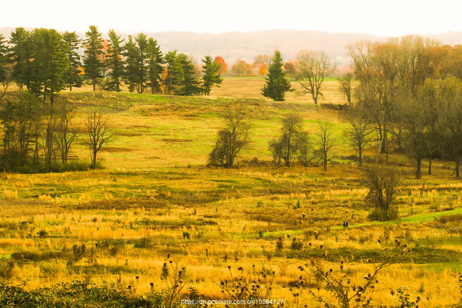 ݵĸ(Valley Forge)֮ɫ