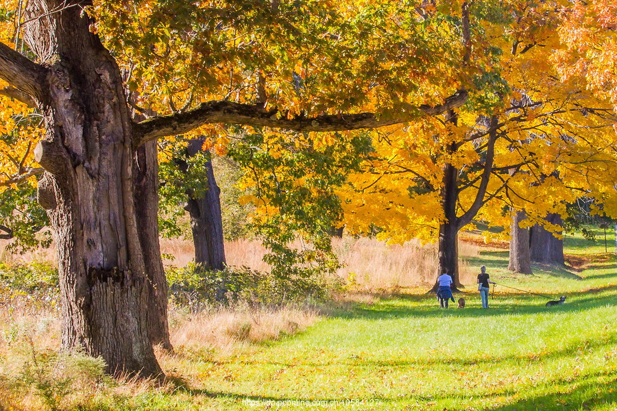 ݵĸ(Valley Forge)֮ɫ