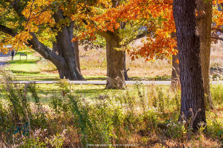 ݵĸ(Valley Forge)֮ɫ