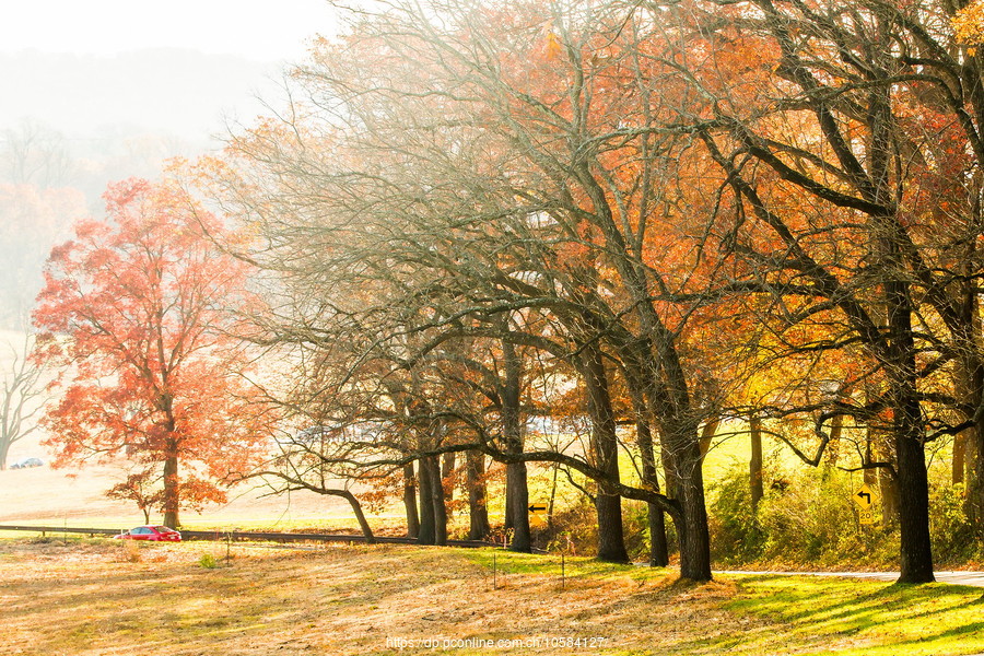 ݵĸ(Valley Forge)֮ɫ