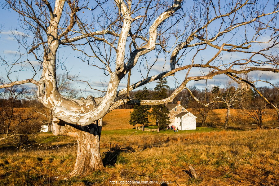 ݵĸ(Valley Forge)֮ɫ