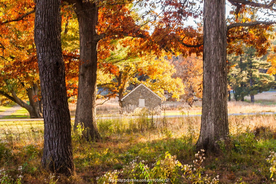 ݵĸ(Valley Forge)֮ɫ