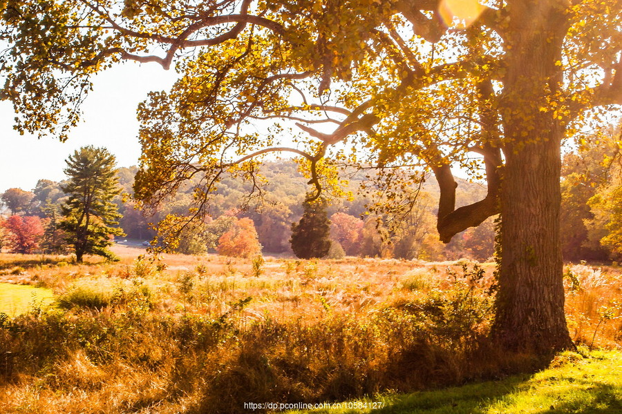 ݵĸ(Valley Forge)֮ɫ